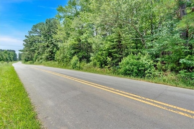 View of asphalt road with a forest view