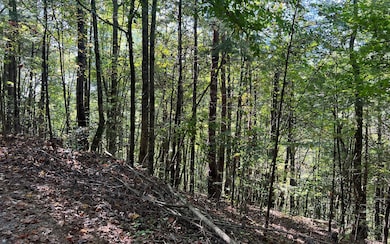Additional View