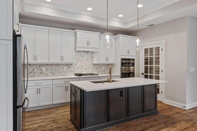 Deluxe Kitchen