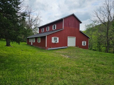 Packet Hollow spring pic 4