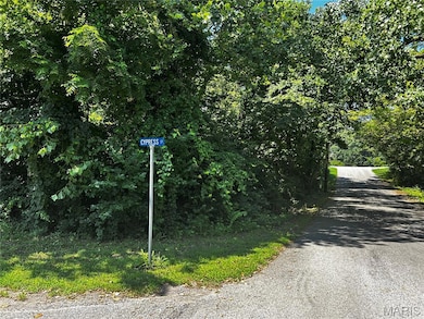 205 Incline Village (Cypress Ct), Unincorporated, MO 63348 - photo 2