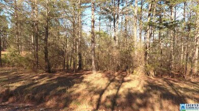 0 County Road 256 unit 34 780663, Wedowee, AL 36278 - photo 3