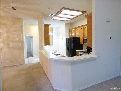 247 Karen Dr, Alamo, TX 78516 - photo 5