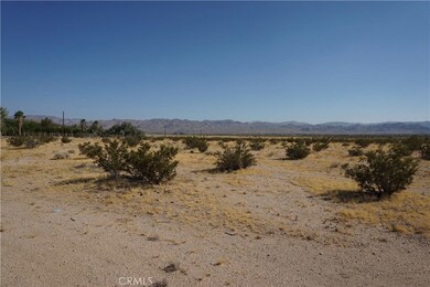 64825 Aberdeen Dr, Joshua Tree, CA 92252 - photo 7