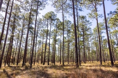 3007 Zion Grove Church Rd, Coolidge, GA 31738 - photo 2