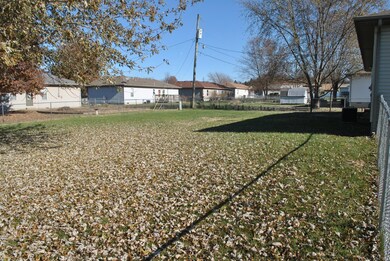 Backyard_1