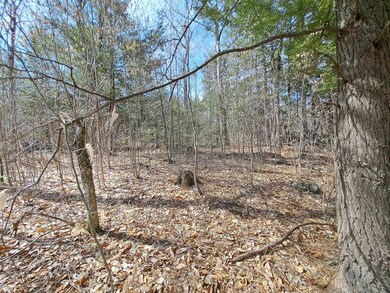 Lot 10 Seven Sisters Cir unit 10, Campton, NH 03223 - photo 4