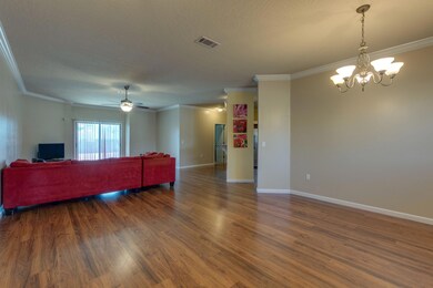 gallery_images_nb1904031-2005