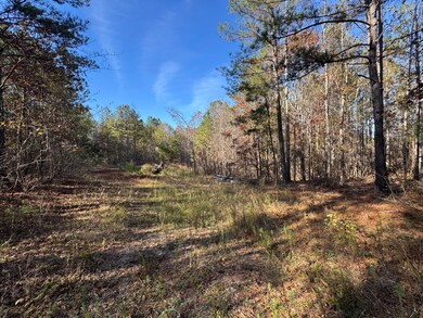 1151 Buckhead Dr, Tignall, GA 30668 - photo 7