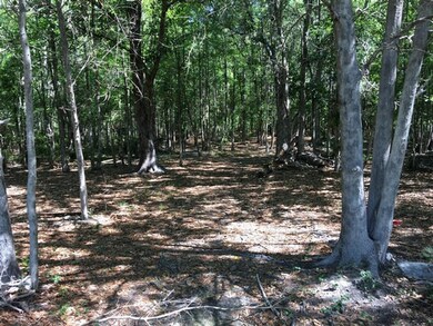 88.2 acr Ione Rd, Pavo, GA 31778 - photo 4