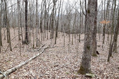 0 Madison 5548, Valley Township, AR 72727 - photo 6