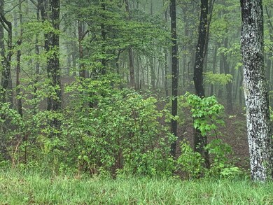 225 Prospectors Way, Jasper, TN 37347 - photo 3