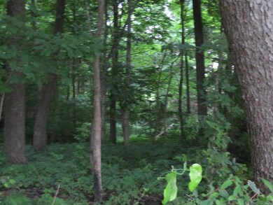 21772 2200 East St, Princeton, IL 61356 - photo 6