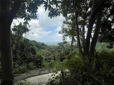 KM 19.9 Carr 128, Yauco, PR 00698 - photo 3