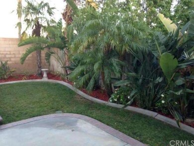 Backyard continues