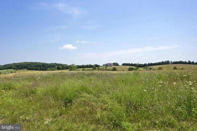 52 Wayside Mill Ln, Middletown, VA 22645 - photo 4