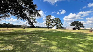 Pasture