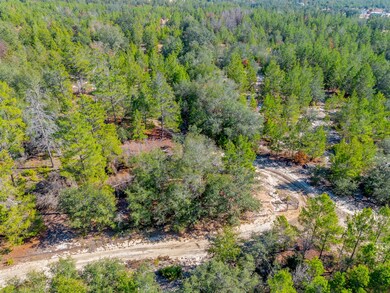 503 Old McHaus Rd, Nicholls, GA 31554 - photo 7