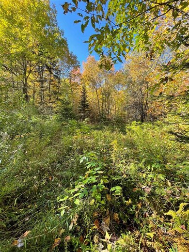 1010 Fellows Rd, Guildhall, VT 05905 - photo 2