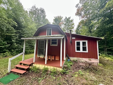 21821 Krenkel Tr unit 21821, Newberry, MI 49868 - photo 2