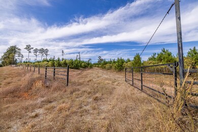 76.68 Fm 843, Nacogdoches, TX 75964 - photo 2