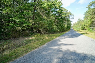 Lot 45 18th, Arkdale, WI 54613 - photo 2