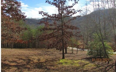 TR 1 Sky Hawk Spur, Hiawassee, GA 30546 - photo 3