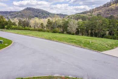 3017 Lee Ridge Rd, Morristown, TN 37814 - photo 5