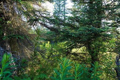 Stone River Lot 7
