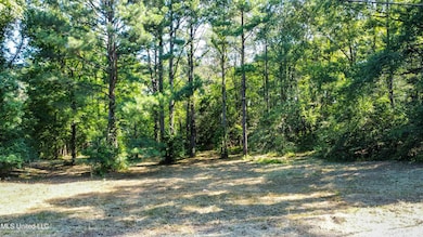 dji_fly_20240712_094554_513_172079556352