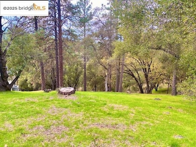 19703 Cottonwood St, Groveland, CA 95321 - photo 3