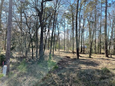 0 Bob White St, Conroe, TX 77385 - photo 3