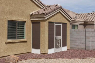 Backyard 2 (2).jpg