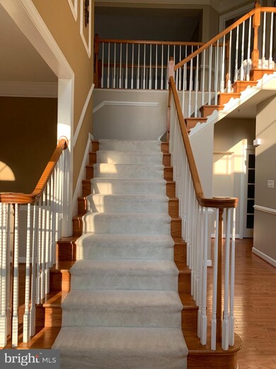 14303 Westmeath Dr, Laurel, MD 20707 - photo 6