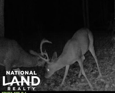 0 Old Hwy 51 NE, Brookhaven, MS 39601 - photo 2