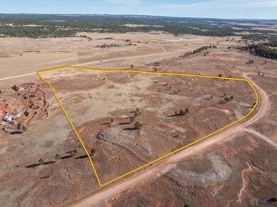 TRACT 17 Dewey Rd unit Tract 17 Elk Mt Ranc, Custer, SD 57730 - photo 3