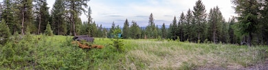4736 Sinclair Creek Rd, Eureka, MT 59917 - photo 4