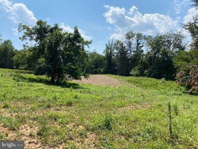 Lot E-2 Stonehouse Mountain Rd, Catalpa, VA 22701 - photo 4
