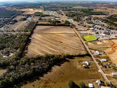 51.8+-ac Hadden Rd, Rehobeth, AL 36301 - photo 4