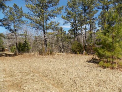 1 Chamberlain Ferry Rd, Lincolnton, GA 30817 - photo 5