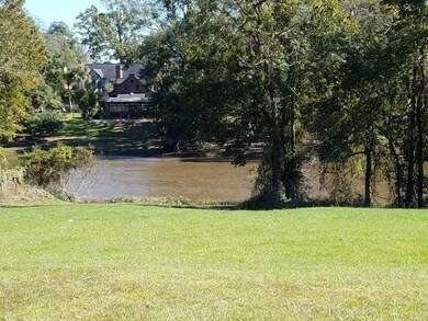 Carrolton Circle River