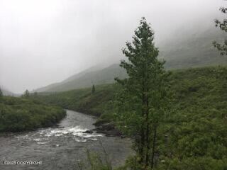 Image-23(1)