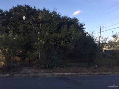 935 E Marion Ave, Pharr, TX 78577 - photo 2