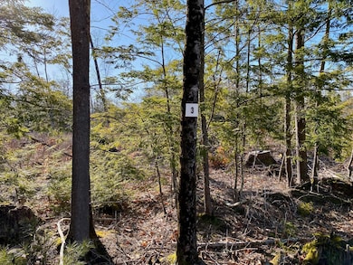 Lot 3 Great Falls Rd, Gorham, ME 04038 - photo 2