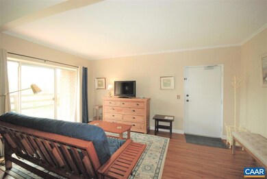 1604 Monticello Ave unit B, Charlottesville, VA 22902 - photo 5