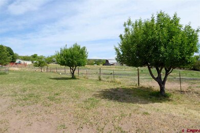 0 2285 Ln unit 746534, Cedaredge, CO 81413 - photo 5