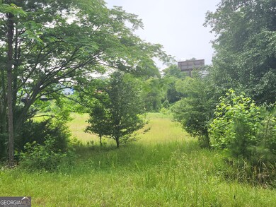 0 Vanns Valley Rd SW unit 10534224, Rome, GA 30161 - photo 2