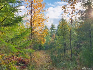 0 Bald Hills Rd SE unit 1686239, Yelm, WA 98989 - photo 2