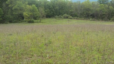 0 Moorestown Rd unit 472378, Bushkill Township, PA 18064 - photo 5