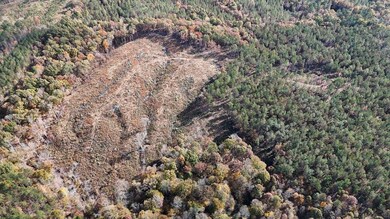 County Road 9, Bruce, MS 38915 - photo 5